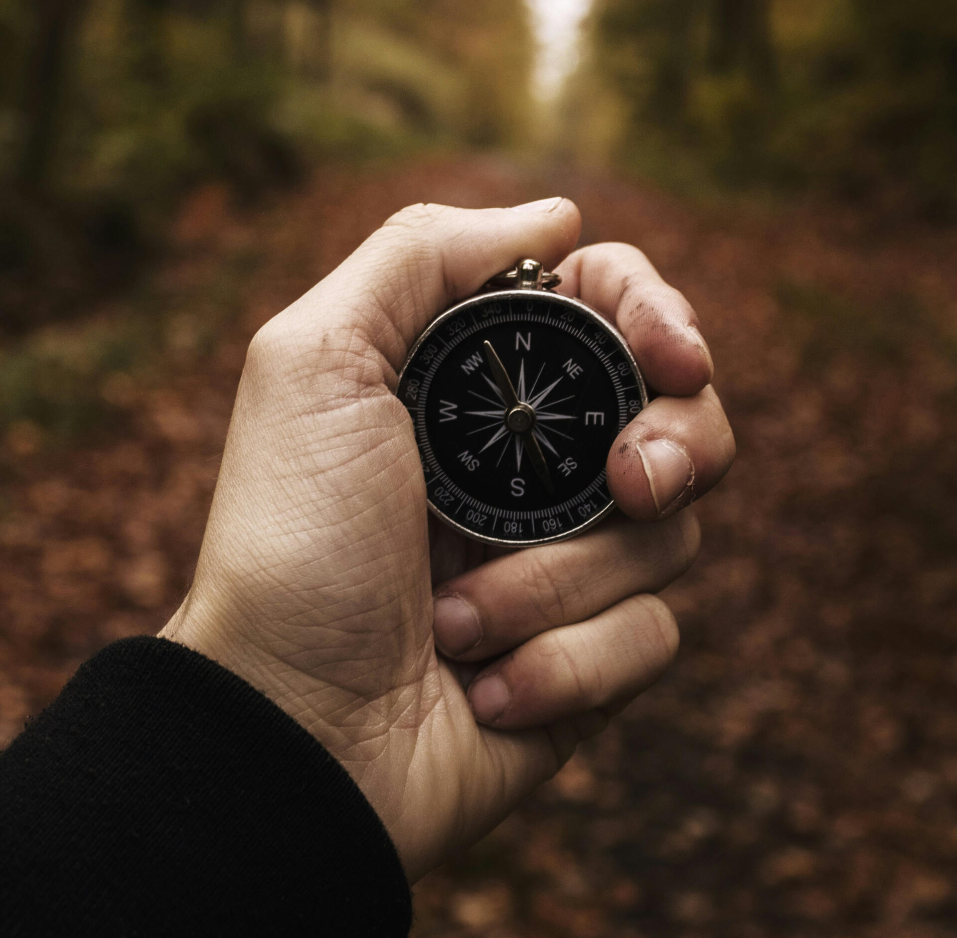 Discover your North Star